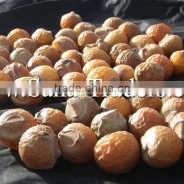 Natural Soap Nuts / Soap Nuts / Personal Care Soap Nuts