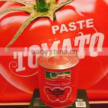 High quality canned tomato paste brix 28-30% 3000g