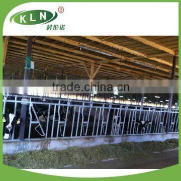 KLN Cattle Head - lock