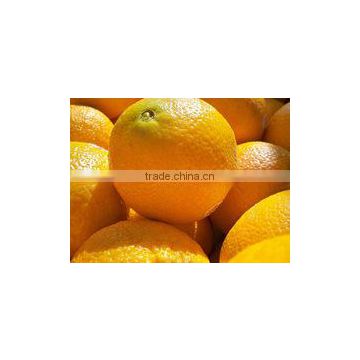 FRESH ORANGES