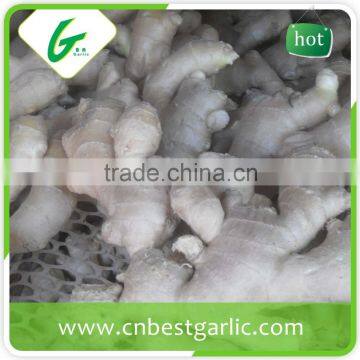 Air Dry Fresh Ginger photo-6