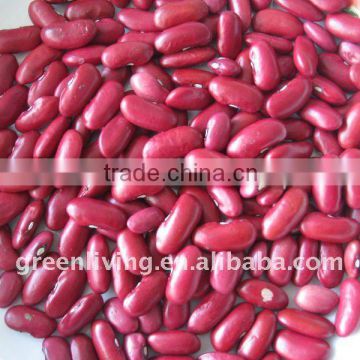 2012 new red kidney bean (lowest price )