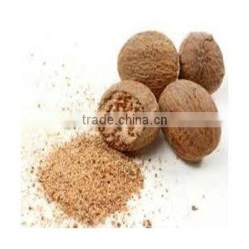 Nutmeg Seeds Without Shell Indian photo-4
