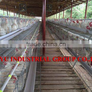 TAIYU Latest And Modern Equipment Broiler