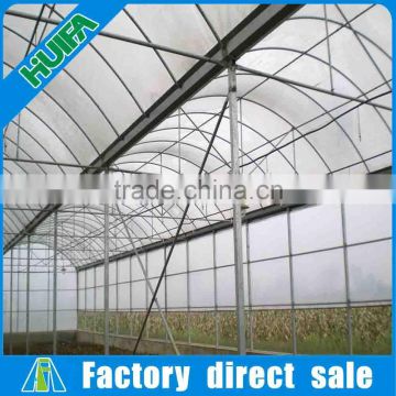 Economical Multi-span Galvanized Steel Frame Greenhouse