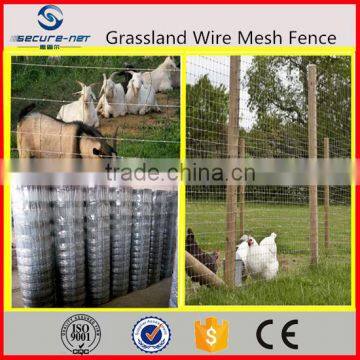 Professional grassland fence weaving machine price(manufacturer)