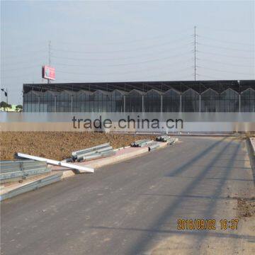Multispan Tunnel Greenhouse for Strawberry Grape Raspberry , Agricultural Green Houses photo-4