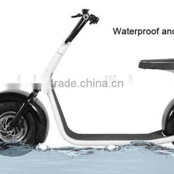 Cool Citycoco Scooter 1000W Brushless/Popular Electric Scooter 800W/ 2Wheels Scooter/City Mobility Scooter 800W (TKE-S800) photo-5