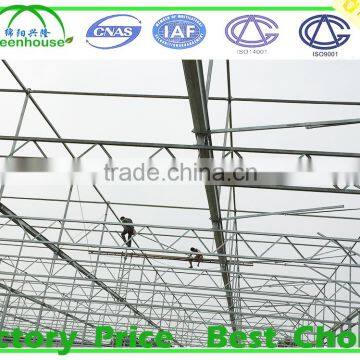 Glass Greenhouse Building Sale photo-5