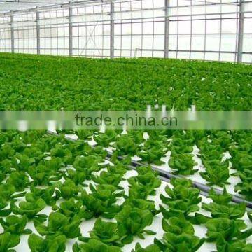 Hydroponic Growing Greenhouse photo-6