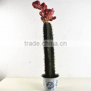SJ3001101 Artificial Cactus Plant/cheap Artificial Plants/red Cactus Plant photo-3