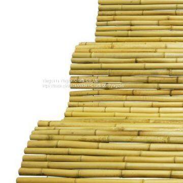 Bamboo Fence With String photo-2