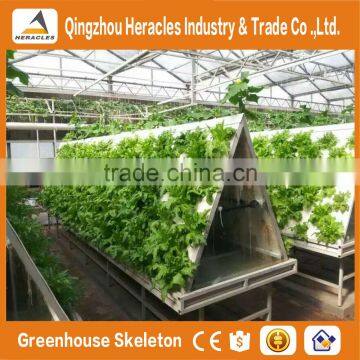 Agricultural Greenhouses For Soilless Hydroponics / Nft Systems For Tropical And Desert Areas photo-6