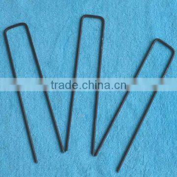 Garden Spikes photo-5