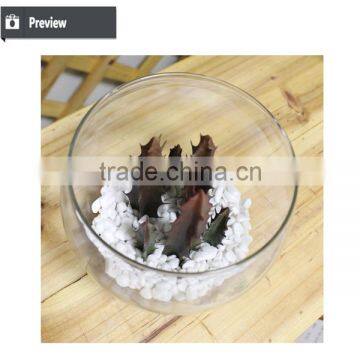 Artificial Succulents Wholesale Bonsai Potted Small Plant Table Artificial Preserved Plant photo-3