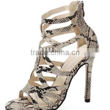 Zm50124b New Style Shoes Lady Europe Women Pencil High Heel Shoes photo-5