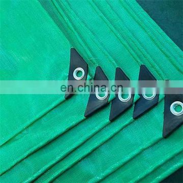 High Quality Green PE Tarpaulin Sheet, PE Tarp Cover