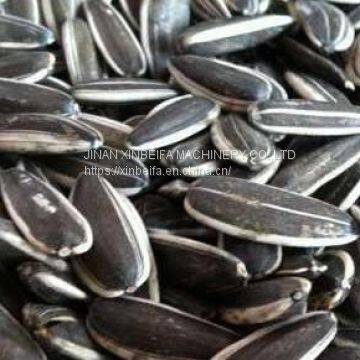 Melon Seed Drying Machine photo-5