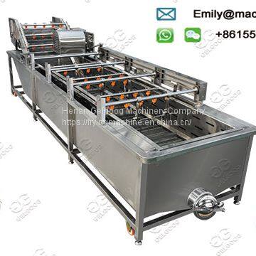 Industrial Tomato Washing Machine for Sale