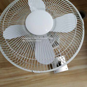 Fan