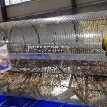 China Cheap Walnut in Shell photo-3