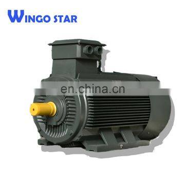 YE2-315L2-4 y2 series three-phase asynchronous electrical motor