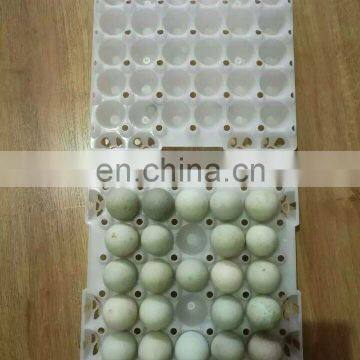PP Material Egg Container 30 Holes Plastic Egg Tray photo-6