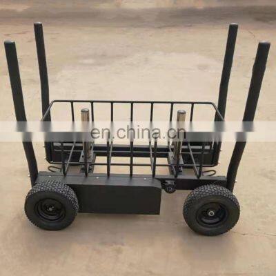 China Factory Gym Equipment Commercial Pull and Push Power Training Power Weight Plate Tank Cart