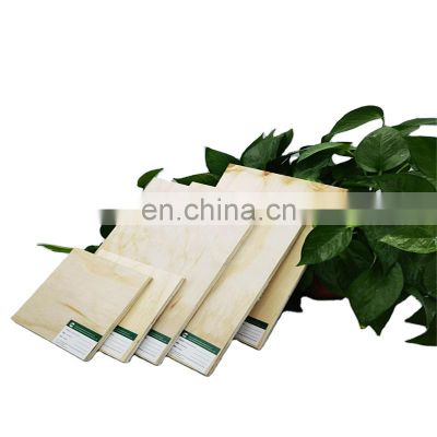 3mm birch plywood laminated plywood marine plywood sheet