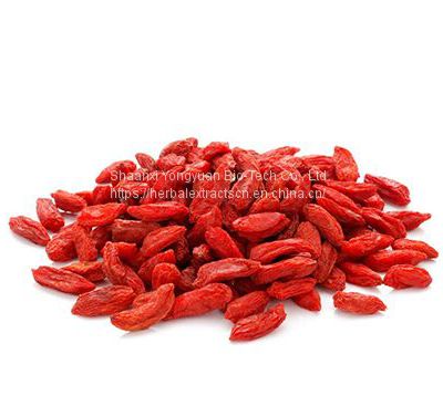 Wolfberry Extract, Goji berry extract, Goji Fruit Extract Powder, Goji polysaccharide