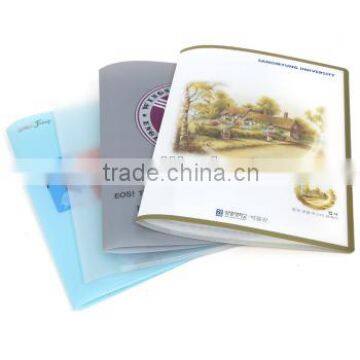 Guangzhou stationery manufacturer make clear display book RYX-CDB029