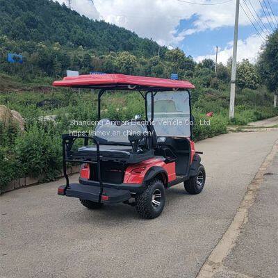 2+2 Seat Golf Cart Electric ATV Forest Lawn Electric Vehicle 4 Seats