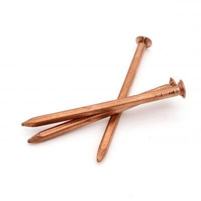 POWER Square Shank Boat Nails Q195 | Accurate Delivery | Strict Quality Control