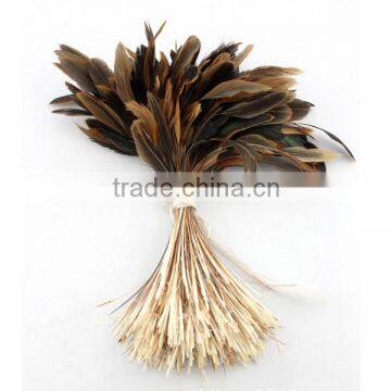 cock feather/ chicken feather duster