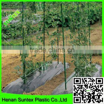 SUPER Plastic Garden Mesh for Growing Plants Support photo-2