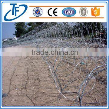 Single Razor Type and Galvanized barbed wire