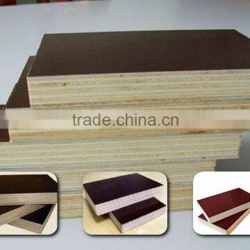 Phenolic film faced plywood poplar core with brand name