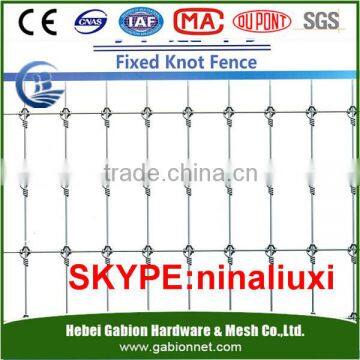 farm fencing mesh/fixed knotted netting field fence