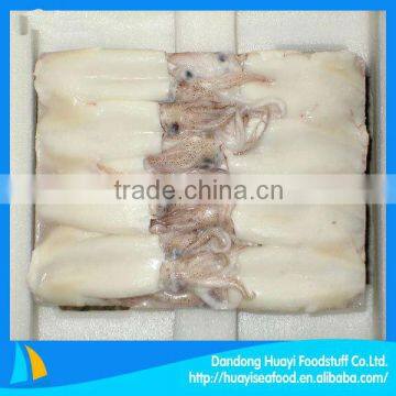 Nutrition seafood fresh frozen whole round squid