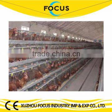 Focus industry hot galvanize chicken battery cage in African countries