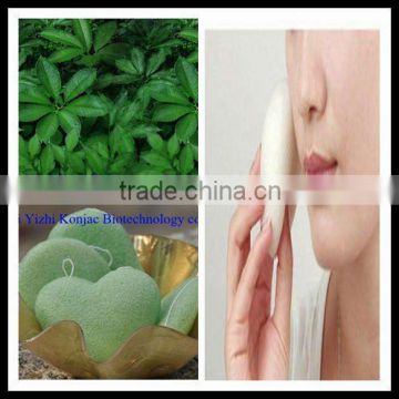 Lucky Trendy Konjac Face Massage Puff Sponge Skincare Beauty charcoal green tea