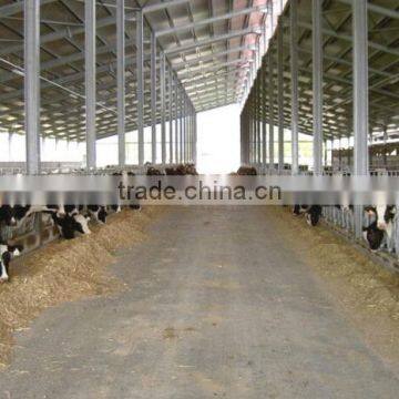 CE certification steel frame structure cow shed