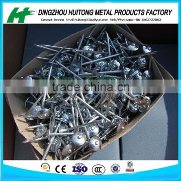 BWG9X3" SIZE OF GALVANIZED ROOFING NAILS WITH UMBRELLA HEAD