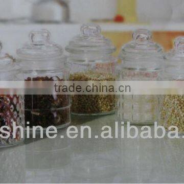 Mini Glass Bottle with Glass Lid / Transparent Glass Spice Jar / Glass Sauce Bottle