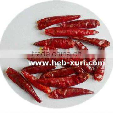 High Quality Dry Red Chili photo-3