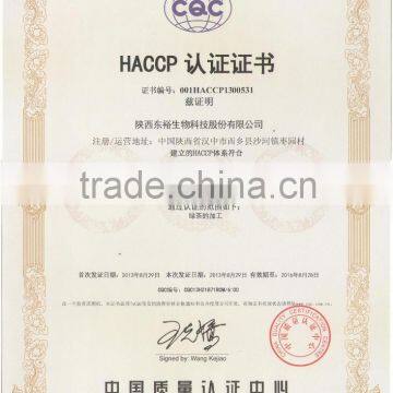 Food Supplement Green Tea Extract 95% Polyphenol Which is Pure and Organic Macha Powder photo-4