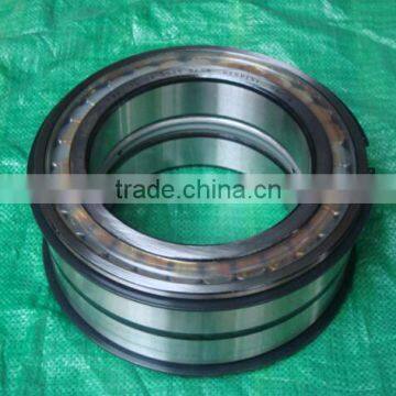 SL045030PP Double-Row Full Complement Cylindrical Roller Bearing SL045030 PP ,SL 04 5030 PPNR