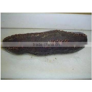 Sea Cucumber whole frozen
