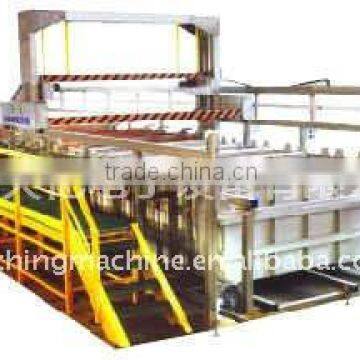 Full-automatic Plating production Line