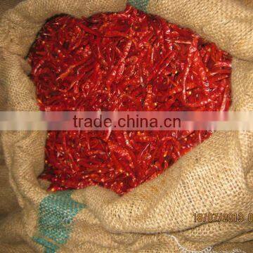 S17/ TEJA CHILLY photo-4